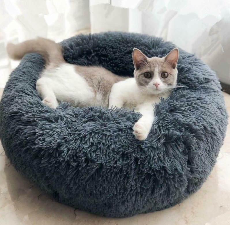 Pet Beds