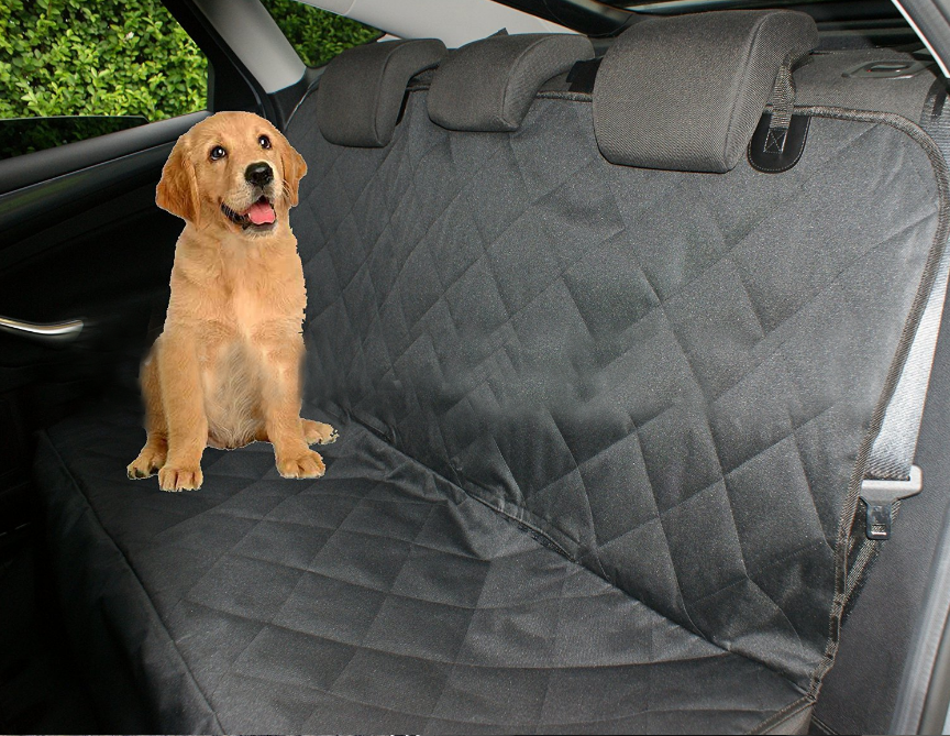 Dog Travel Mat