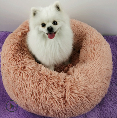 Pet Beds