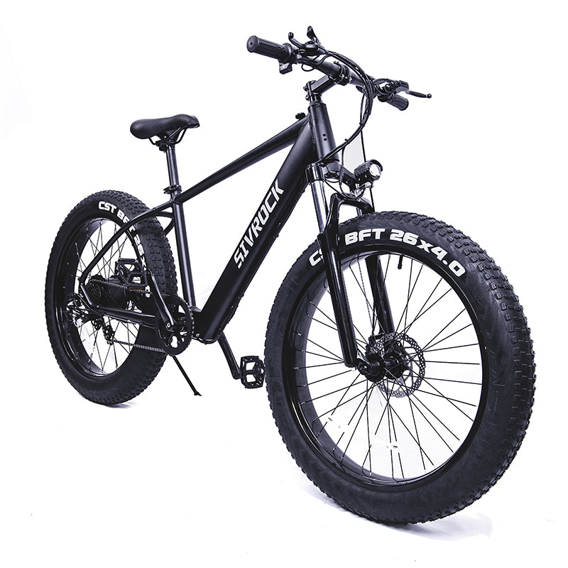 Electric Bicycle